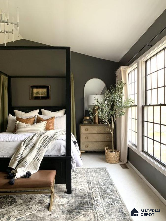 a room filled with lots of windows and a plant in the corner next to it on the floor of a wooden shelves and plants in front of a window with a window filled with plants on top of